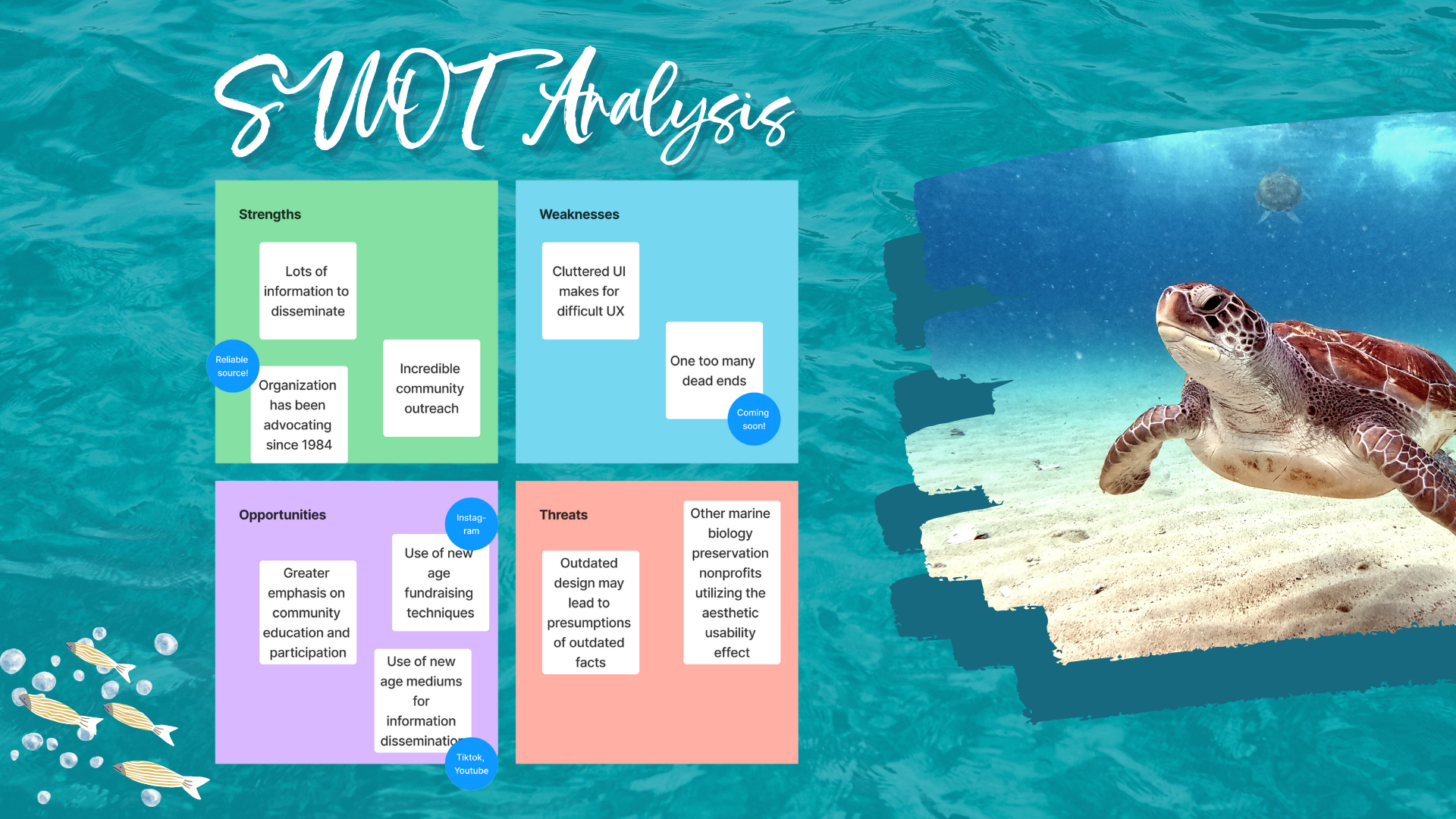 sea turtle preservation society (2)