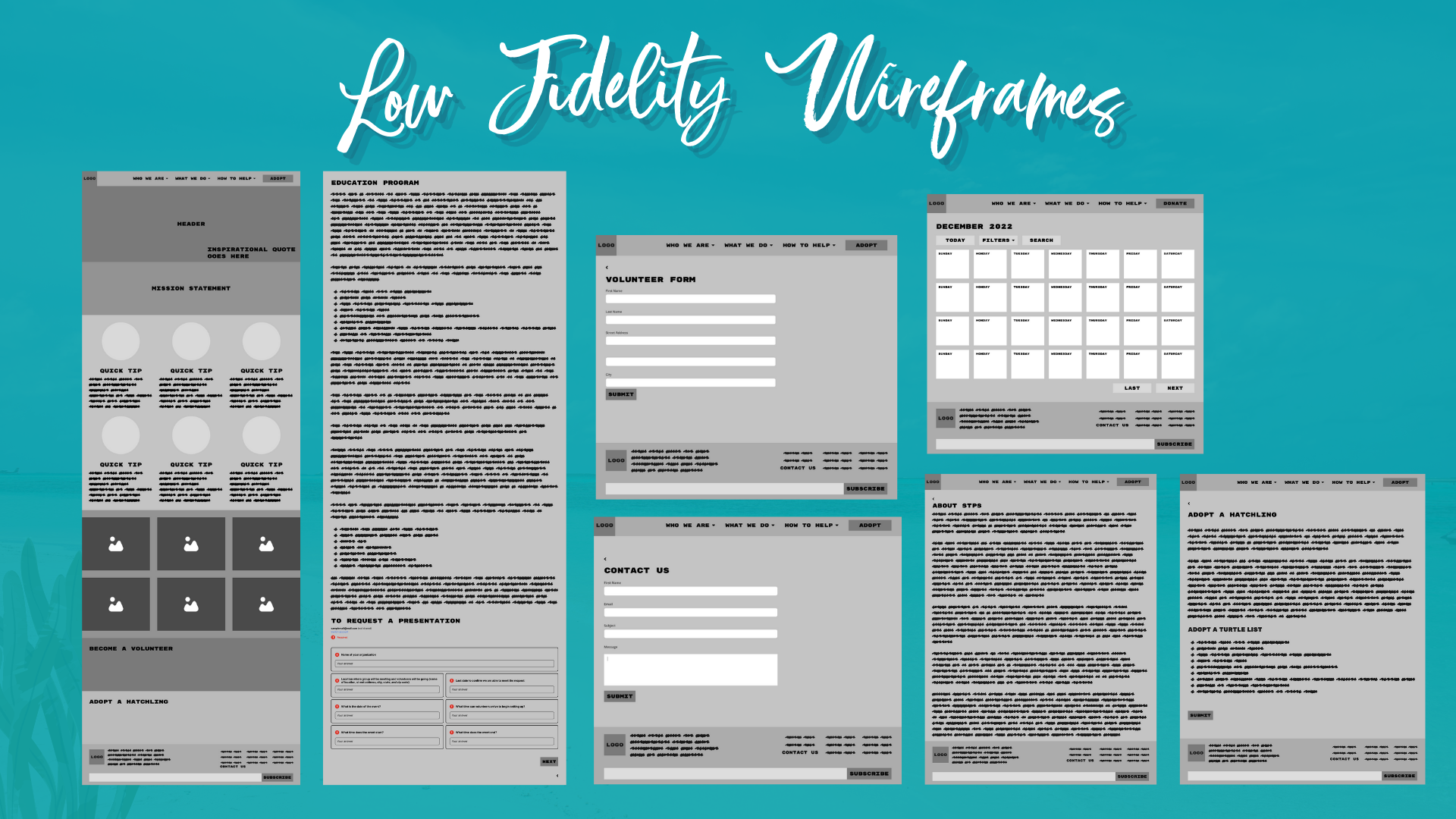 sea turtle preservation society (3)