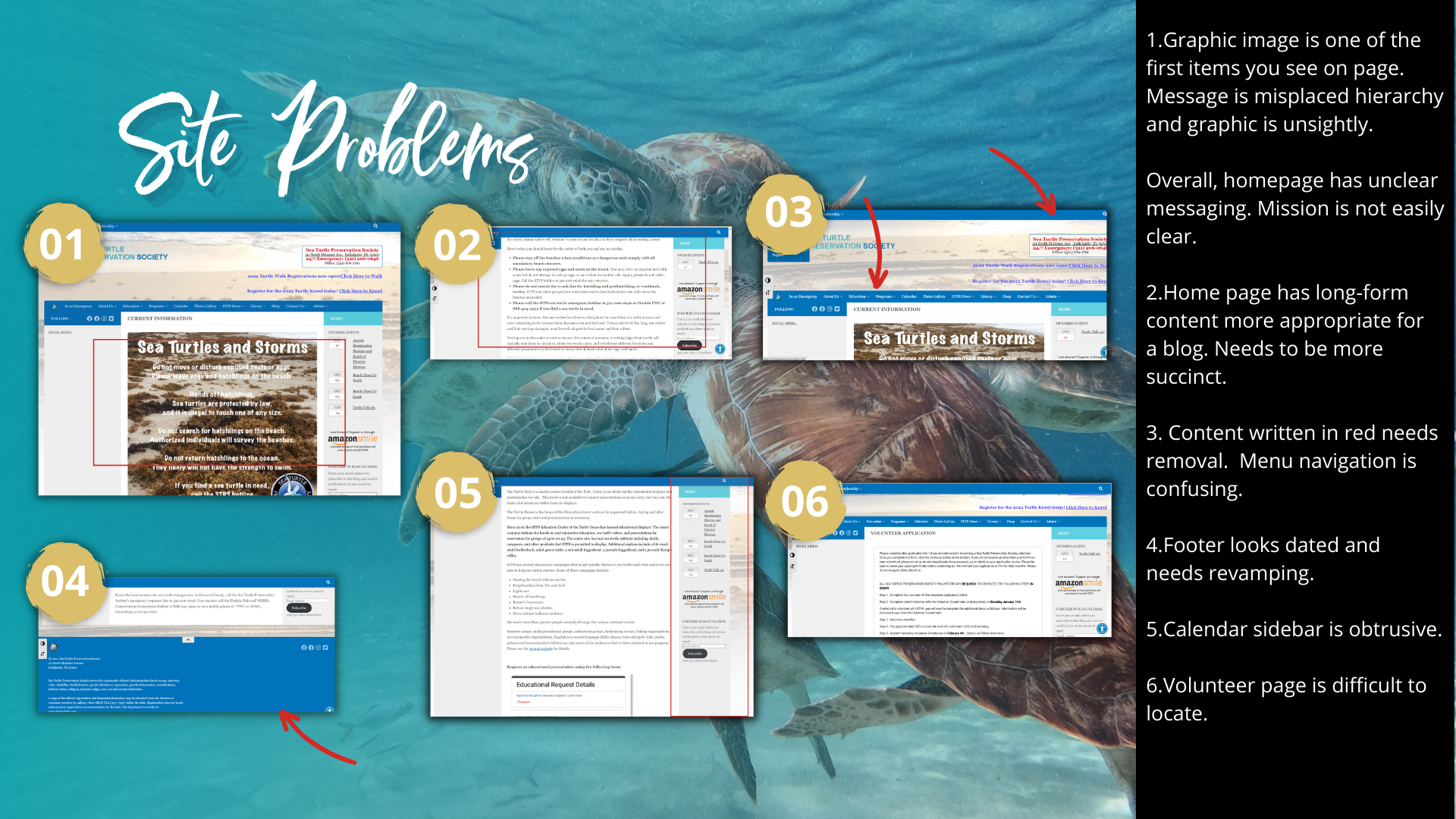 sea turtle preservation society (4)