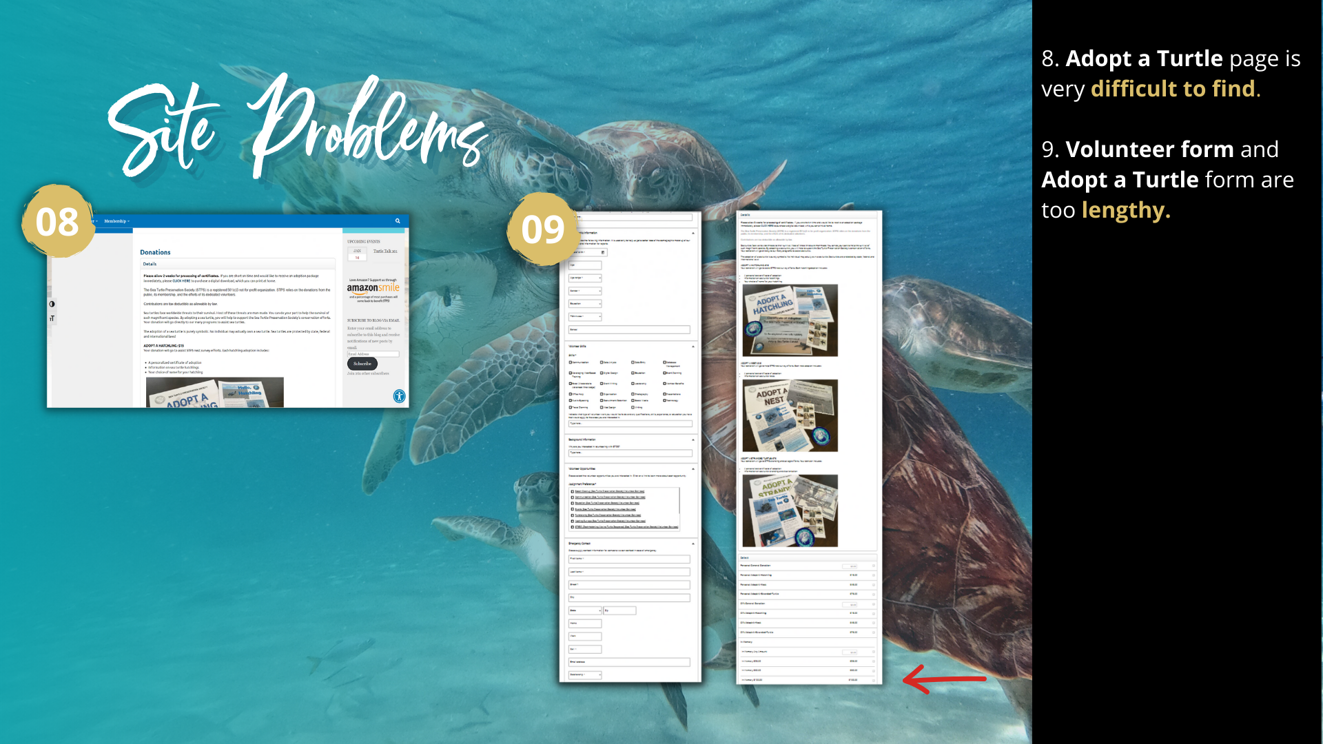 sea turtle preservation society (5)