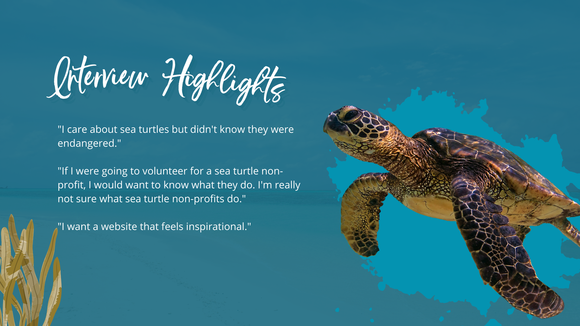 sea turtle preservation society