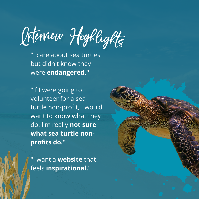 sea turtle preservation society (1)