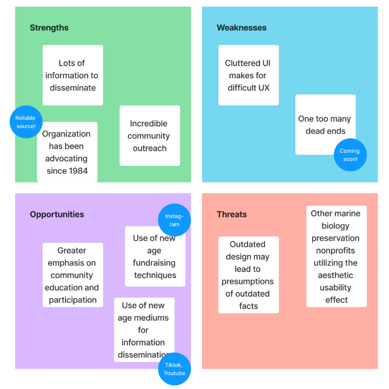 sea turtle preservation society (2)